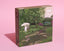 Photograph of a Max Dalton puzzle on a pink background