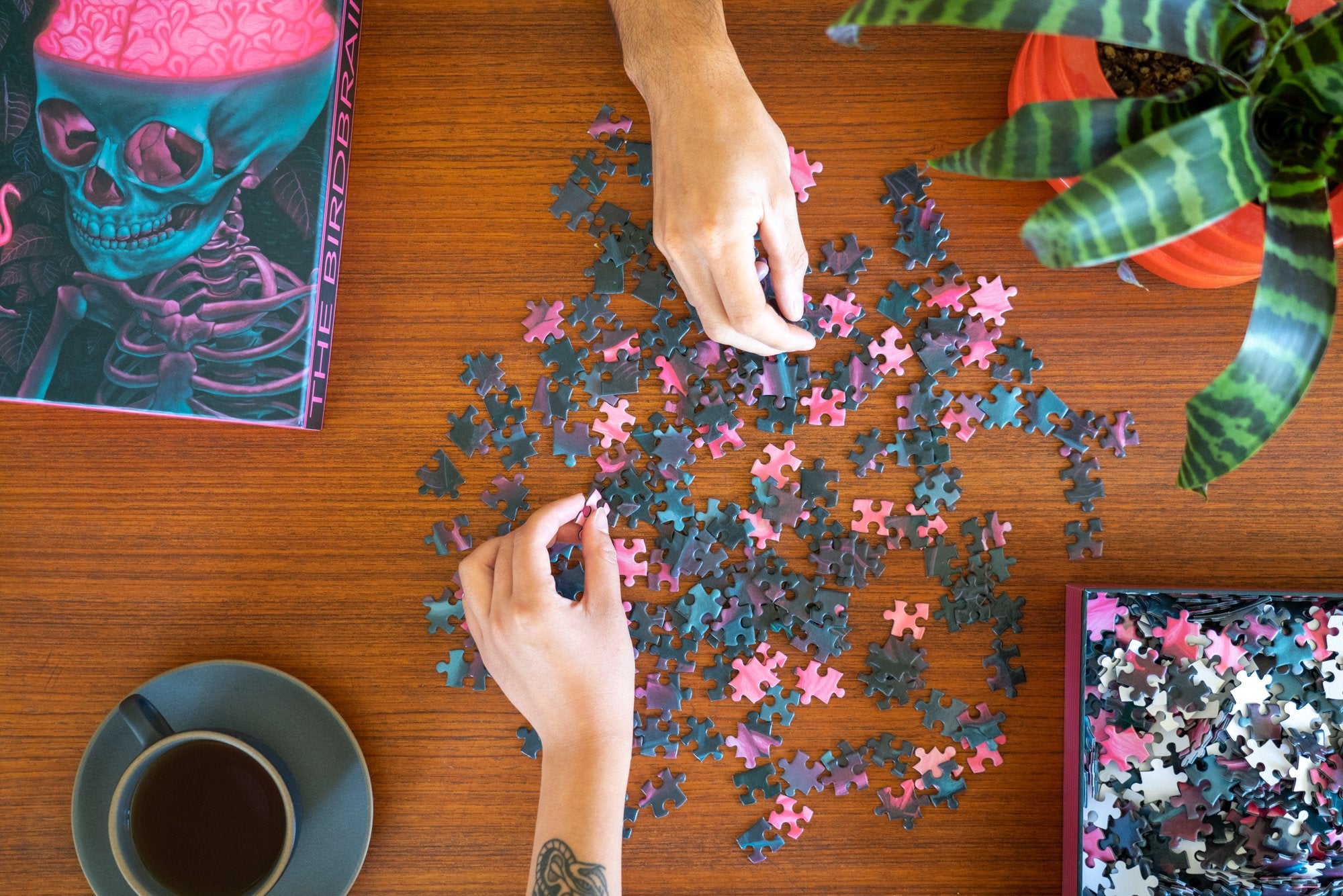 Jigsaw Puzzles RECESS