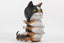 Casey Weldon - Calico Kittypillar Vinyl Figure